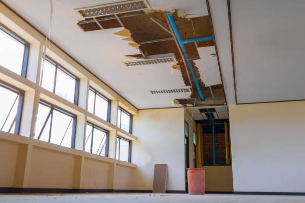 Best Water damage mitigation services  in Wheat Ridge, CO