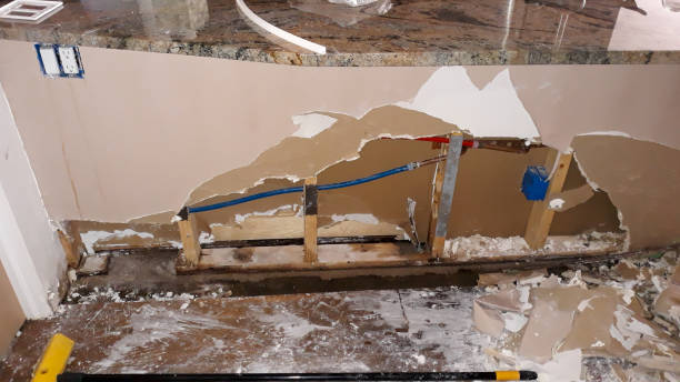 Best Sewage cleanup and water damage restoration  in Wheat Ridge, CO
