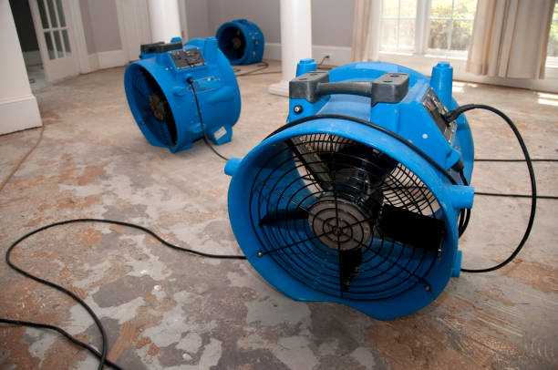  Wheat Ridge, CO Water damage restoration Pros
