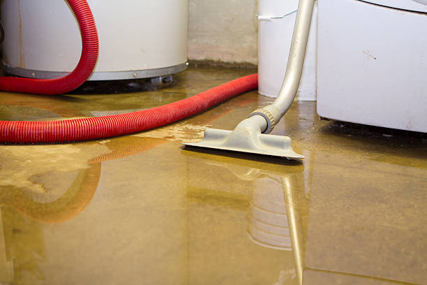 Best Flood damage cleanup  in Wheat Ridge, CO
