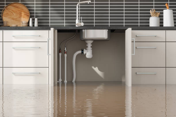 Best Professional water damage repair  in Wheat Ridge, CO