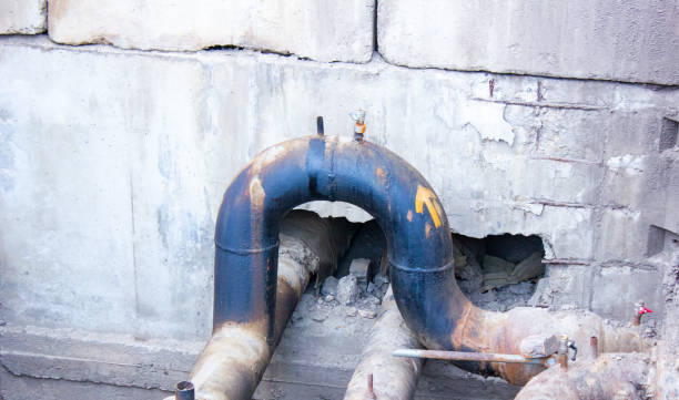 Best Water damage contractors near me  in Wheat Ridge, CO